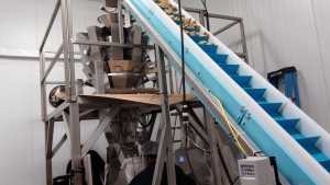 dog food on DynaClean conveyor