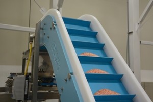 DynaClean conveyor conveying sea salt