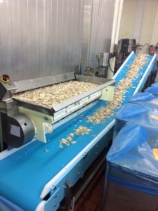 Potato conveyor