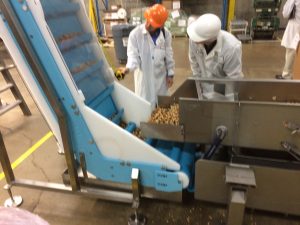 Snack mix on a DynaClean vertical incline conveyor