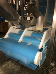 DynaClean conveyor processing almonds