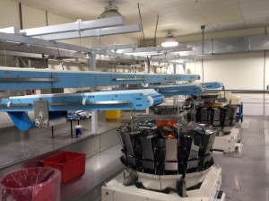 DynaClean custom conveyors being used in the production of carmel corn.