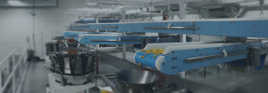 DynaClean food conveyor systems, home page banner.