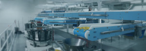 DynaClean food conveyor systems, home page banner.