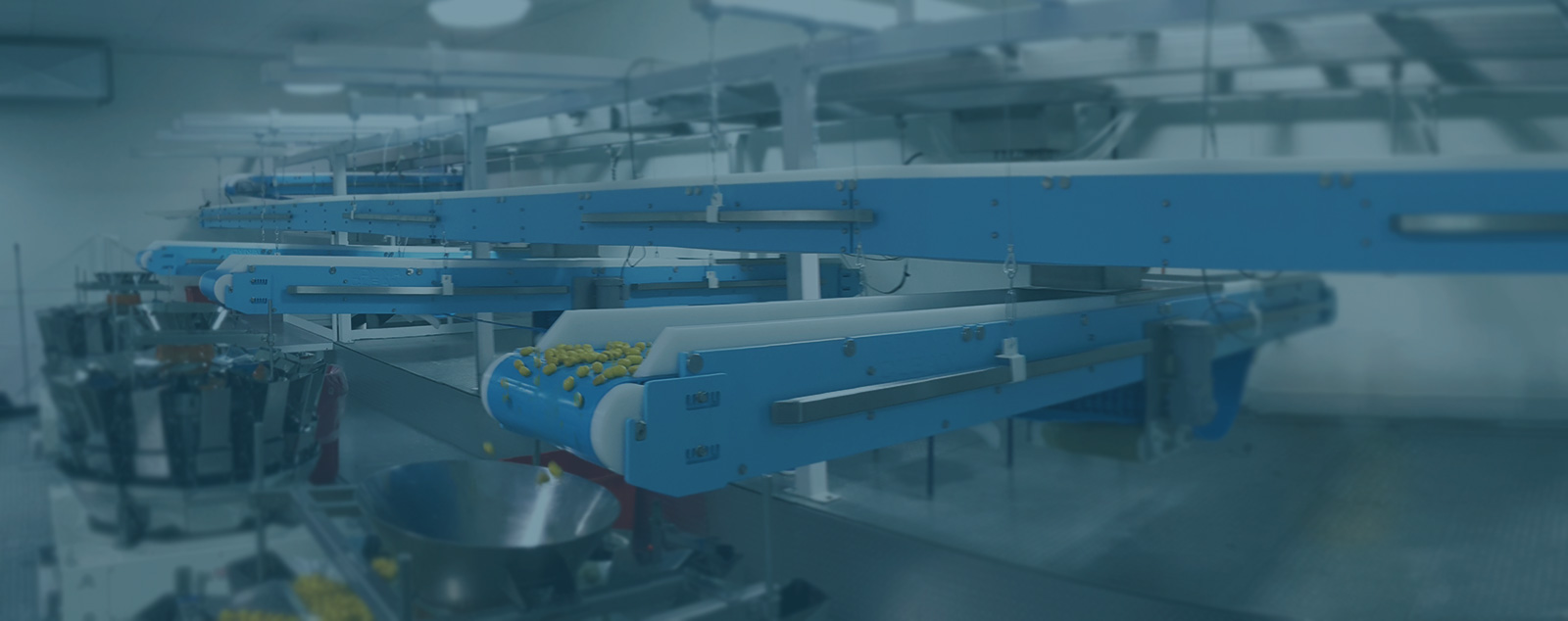 DynaClean conveyor moving objects from one area to another