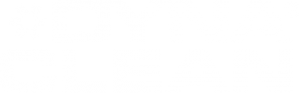 DynaClean Logo Reverse