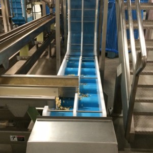 DynaClean vertical z food conveyor.