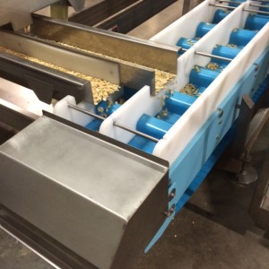 Dynaclean food conveyor with almonds.