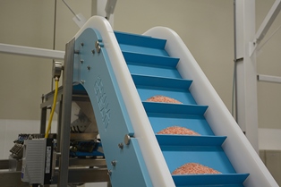 Food Grade Conveyor Belts: Understanding the Importance of Selecting the Right One