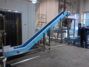 DynaClean portable Z conveyor.
