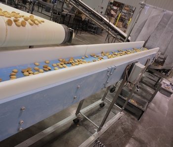 Dynaclean baked goods conveyor showing cookie production at J&M