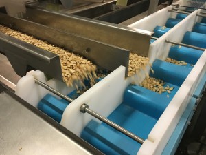 DynaClean conveyor with dual lane