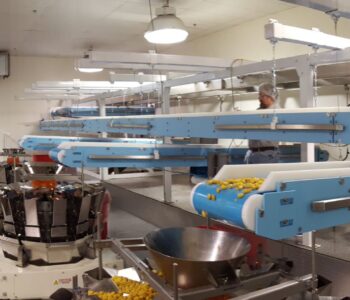 Overhead hanging sanitary conveyor for caramel corn food manufacturing facility