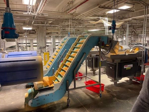 Bulk Fill More Bakery 3 baked goods on a bulk filling conveyor system