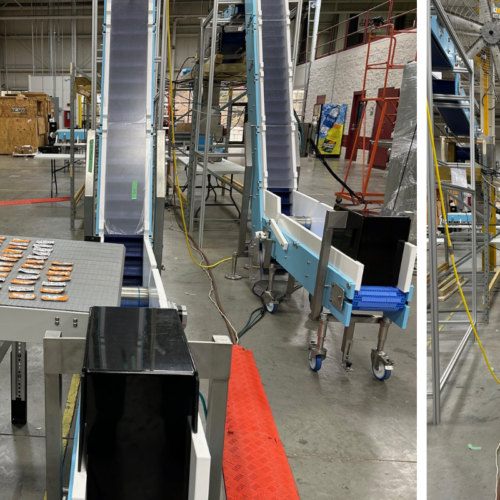 automated conveyance system for food packaging including conveyor belt and box filling system
