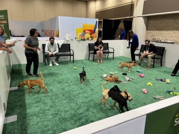 puppy area at SNAXPO25