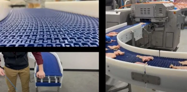screenshot of poultry conveyor video with chicken on conveyor and sanitary conveyor belt
