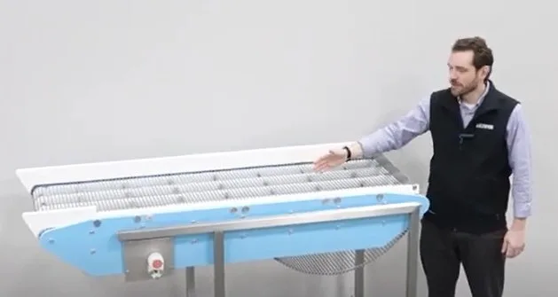 member of Dynamic Conveyor team demonstrating a sanitary conveyor system
