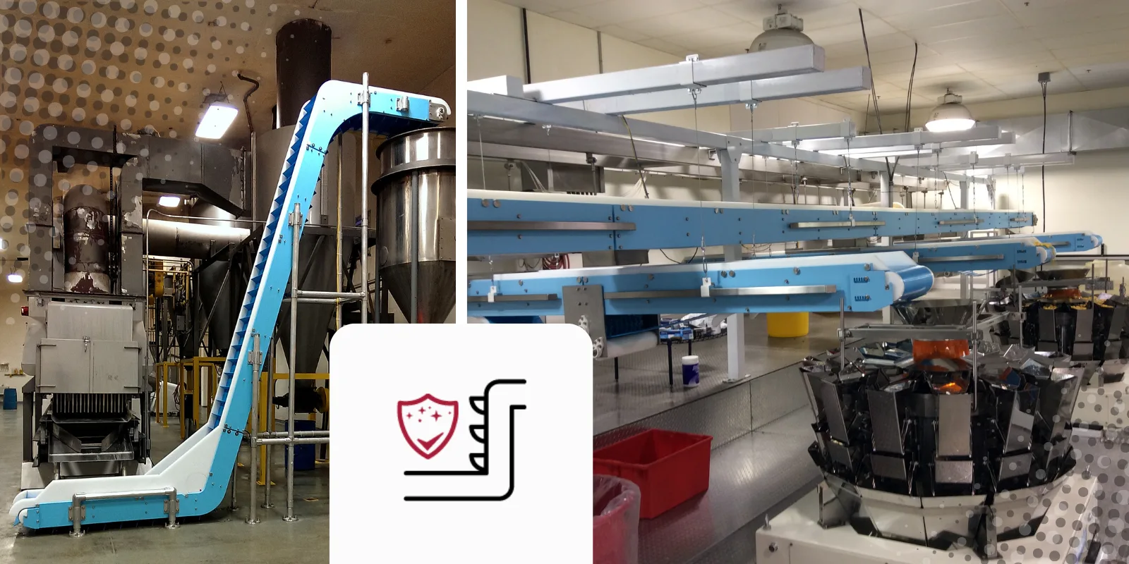 The Future of Food Manufacturing with Dynamic Conveyor