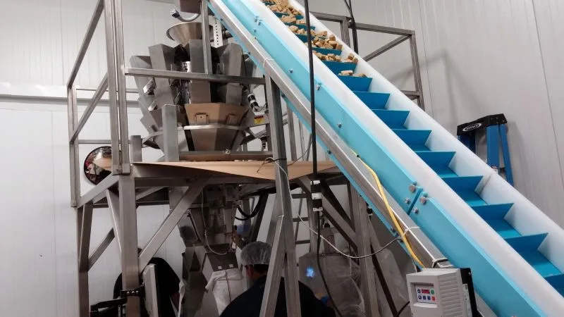 Pet food on an incline Dynaclean sanitary conveyor