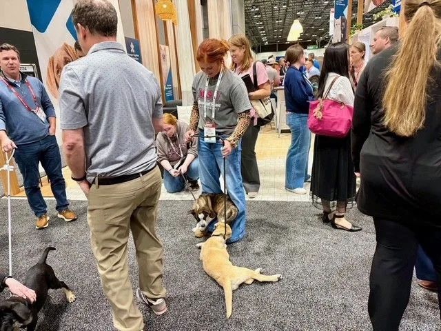 Pets-Pet-Food-forum-2026 dog on floor at Pet Food Forum 2026